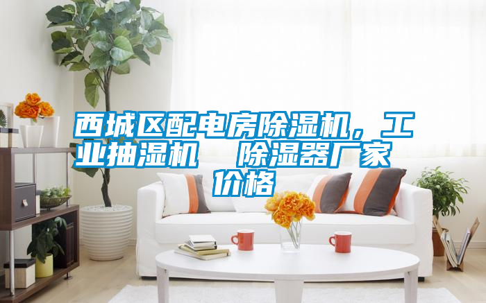 西城區(qū)配電房除濕機(jī)，工業(yè)抽濕機(jī)  除濕器廠家 價(jià)格