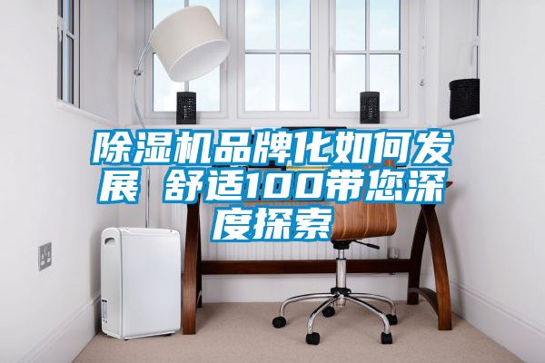 除濕機品牌化如何發(fā)展  舒適100帶您深度探索