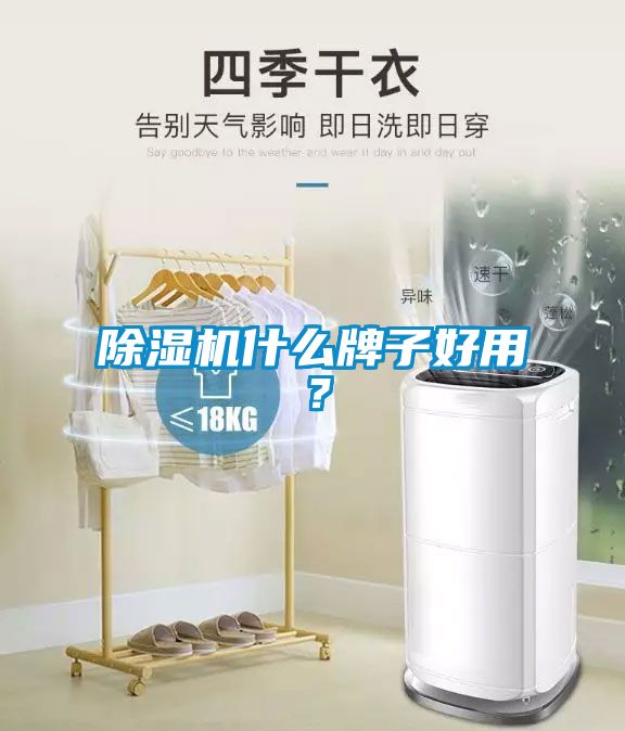 除濕機(jī)什么牌子好用?