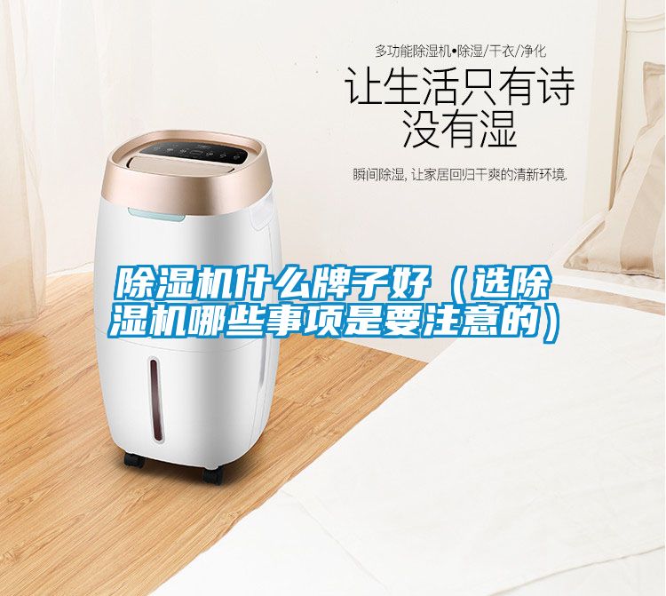 除濕機什么牌子好(選除濕機哪些事項是要注意的)