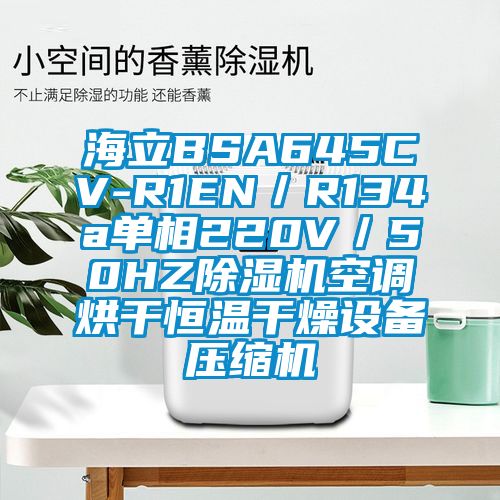 海立BSA645CV-R1EN/R134a單相220V/50HZ除濕機空調(diào)烘干恒溫干燥設備壓縮機