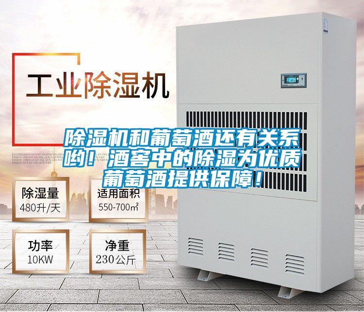 除濕機(jī)和葡萄酒還有關(guān)系喲！酒窖中的除濕為優(yōu)質(zhì)葡萄酒提供保障！