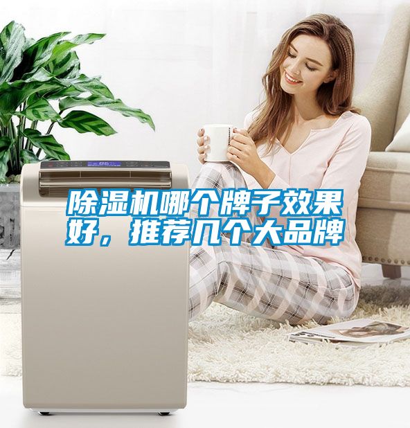 除濕機(jī)哪個(gè)牌子效果好，推薦幾個(gè)大品牌