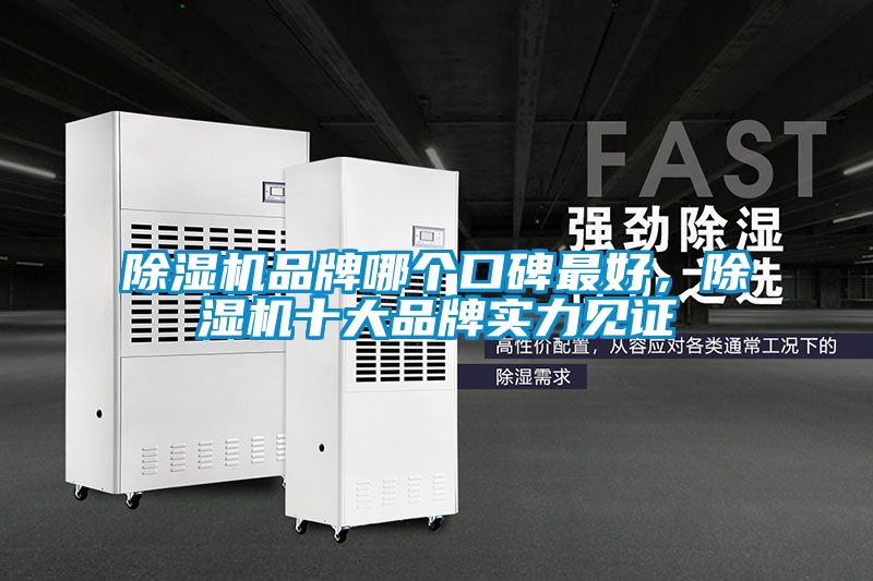 除濕機品牌哪個口碑最好，除濕機十大品牌實力見證
