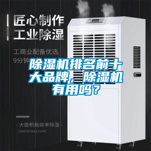 除濕機排名前十大品牌，除濕機有用嗎？
