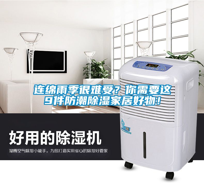 連綿雨季很難受？你需要這9件防潮除濕家居好物！