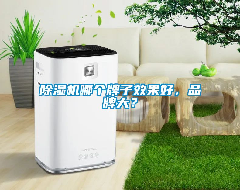 除濕機(jī)哪個(gè)牌子效果好，品牌大？