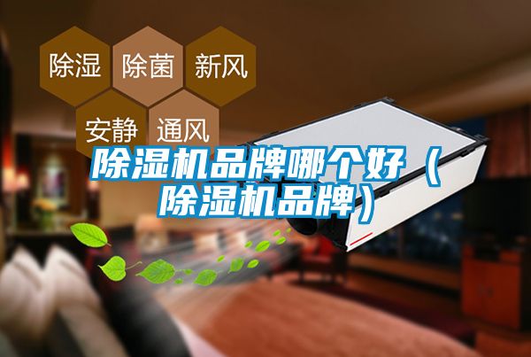 除濕機(jī)品牌哪個(gè)好(除濕機(jī)品牌)