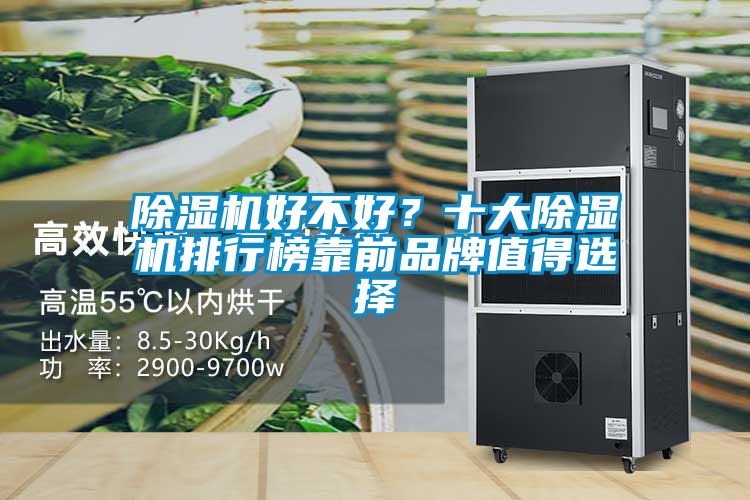 除濕機(jī)好不好？十大除濕機(jī)排行榜靠前品牌值得選擇