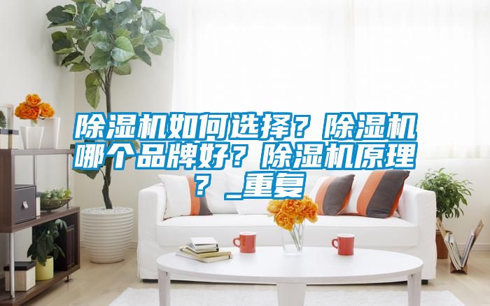 除濕機如何選擇？除濕機哪個品牌好？除濕機原理？_重復(fù)