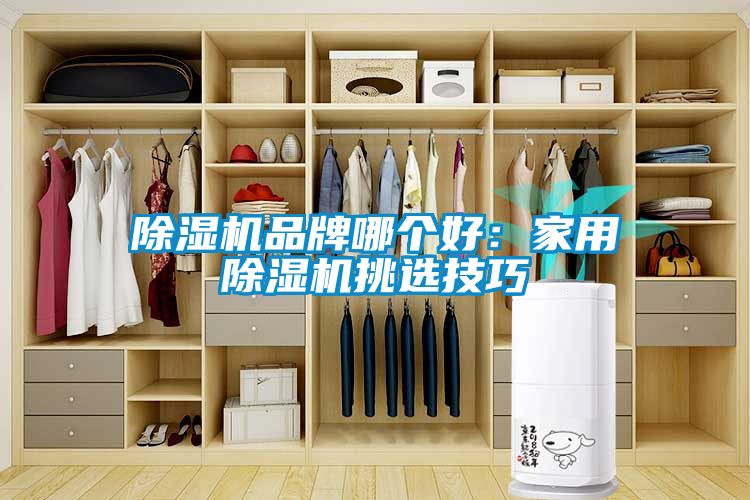 除濕機(jī)品牌哪個(gè)好:家用除濕機(jī)挑選技巧