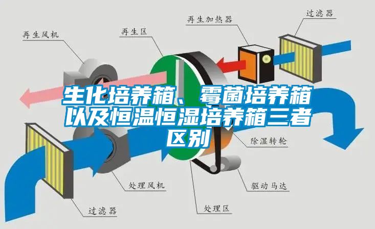 生化培養(yǎng)箱、霉菌培養(yǎng)箱以及恒溫恒濕培養(yǎng)箱三者區(qū)別