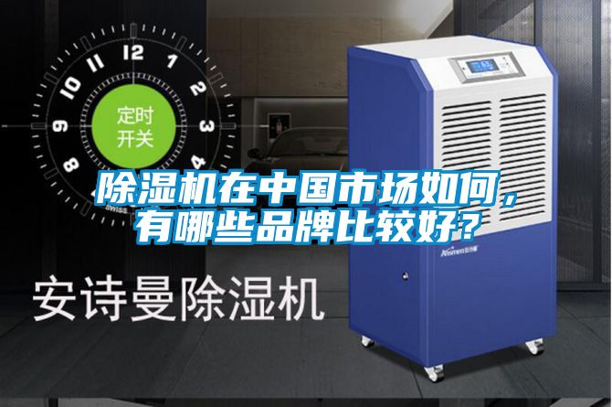 除濕機(jī)在中國市場如何，有哪些品牌比較好？