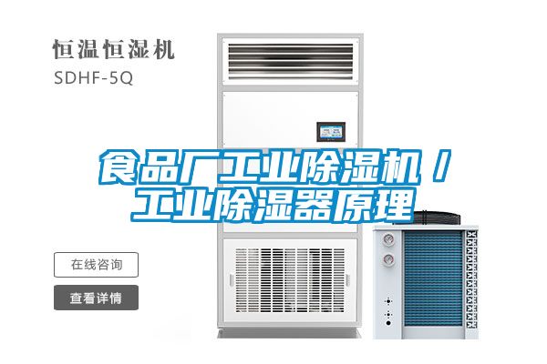 食品廠工業(yè)除濕機(jī)/工業(yè)除濕器原理