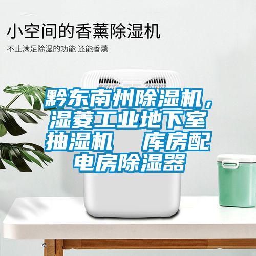 黔東南州除濕機,濕菱工業(yè)地下室抽濕機  庫房配電房除濕器