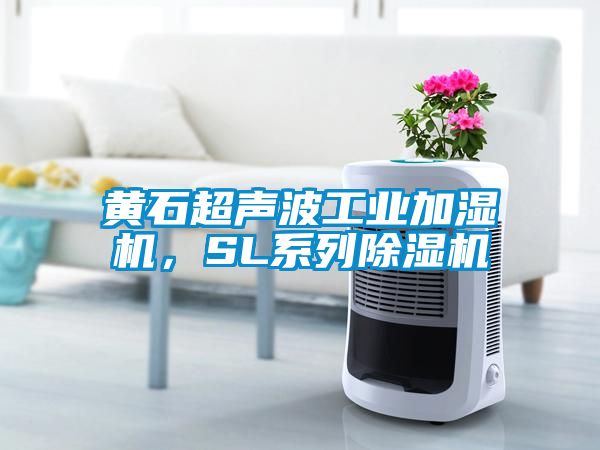 黃石超聲波工業(yè)加濕機，SL系列除濕機