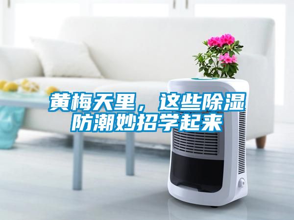 黃梅天里，這些除濕防潮妙招學起來