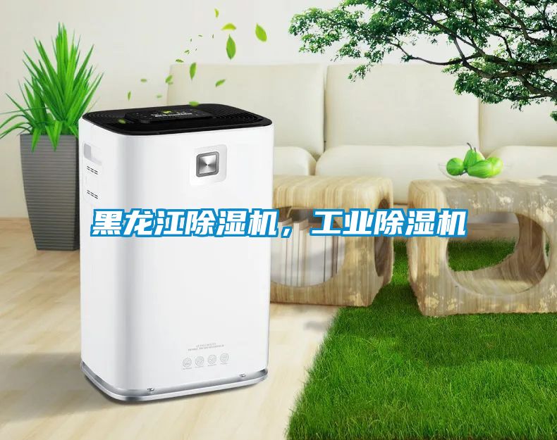 黑龍江除濕機(jī),工業(yè)除濕機(jī)