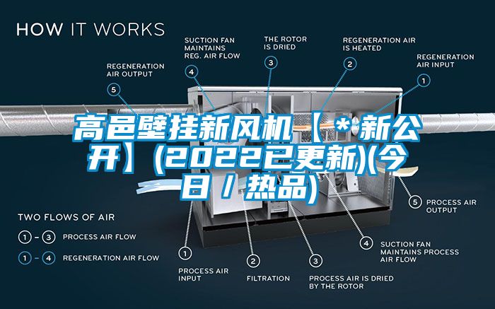 高邑壁掛新風機【*新公開】(2022已更新)(今日/熱品)