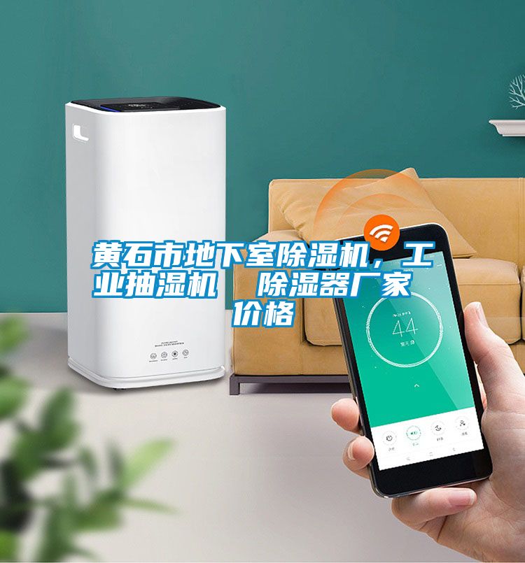 黃石市地下室除濕機(jī)，工業(yè)抽濕機(jī)  除濕器廠家 價格