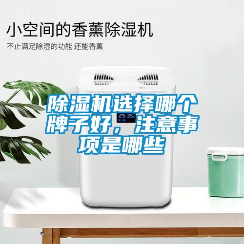 除濕機(jī)選擇哪個(gè)牌子好，注意事項(xiàng)是哪些
