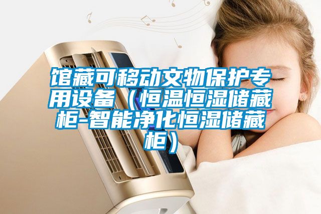 館藏可移動(dòng)文物保護(hù)專用設(shè)備(恒溫恒濕儲(chǔ)藏柜-智能凈化恒濕儲(chǔ)藏柜)