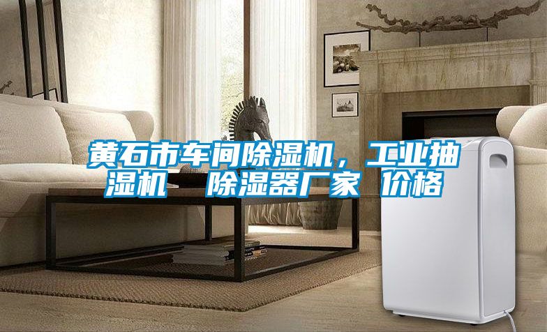 黃石市車間除濕機，工業(yè)抽濕機  除濕器廠家 價格