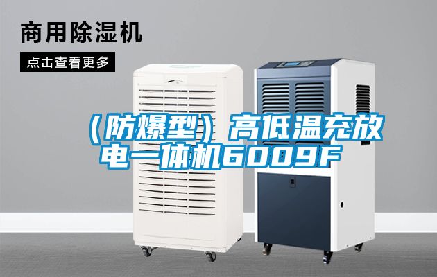 (防爆型)高低溫充放電一體機(jī)6009F