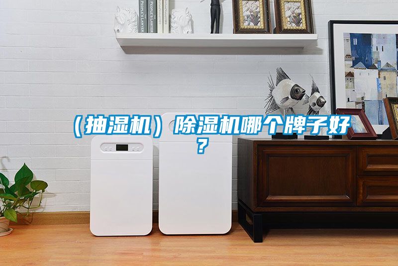 （抽濕機）除濕機哪個牌子好？