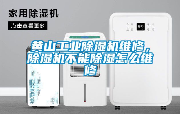 黃山工業(yè)除濕機(jī)維修，除濕機(jī)不能除濕怎么維修