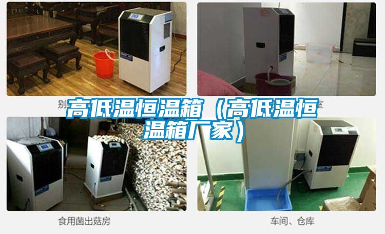 高低溫恒溫箱(高低溫恒溫箱廠家)