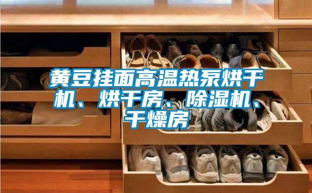黃豆掛面高溫熱泵烘干機、烘干房、除濕機、干燥房