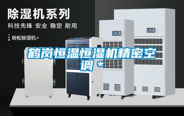 鶴崗恒溫恒濕機精密空調*