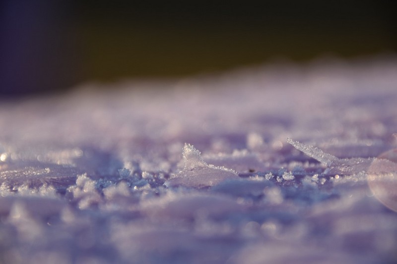 你知道除濕機(jī)為什么需要自動化霜嗎？ 冷凍式除濕機(jī)化霜功能