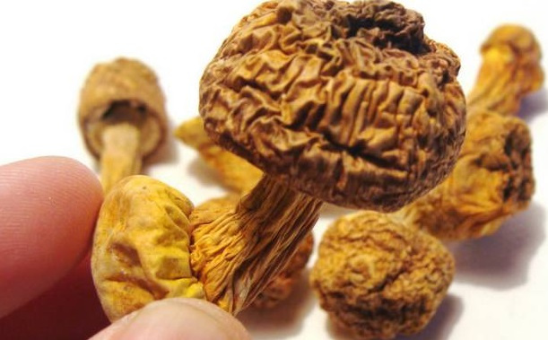 巴西菇、姬松茸烘干機(jī)-怎樣烘干色澤好且菇體褶片完整？