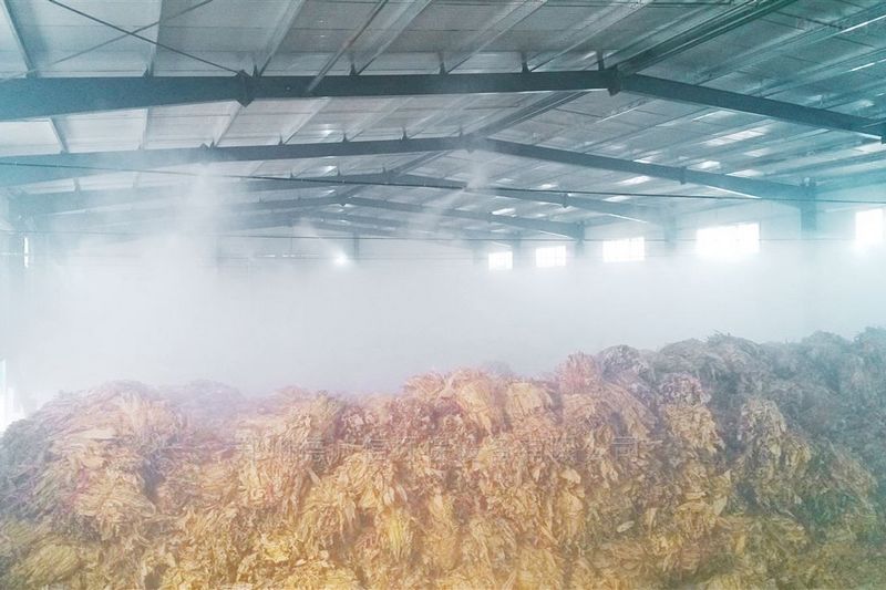 提升煙葉加工質(zhì)量，高效回潮很重要 煙葉除濕機