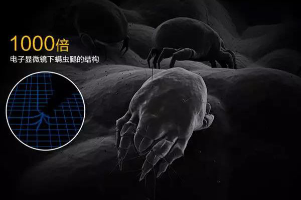 螨蟲高發(fā)季，家用除濕機(jī)除螨有妙計！