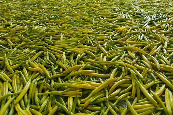 無硫金針菜烘干如何保持品相？不發(fā)黑？